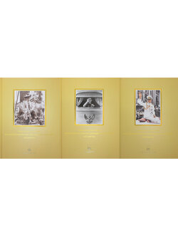 จดหมายเหตุงานพระบรมศพ พระบาทสมเด็จพระปรมินทรมหาภูมิพลอดุลยเดช บรมนาถบพิตร ฉบับประชาชน (เล่ม 1-3 / พร้อมกล่อง)