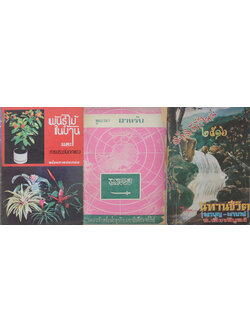 รวมเรื่อง (3 เล่ม)