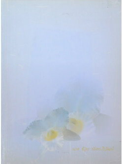 นางช้อย นันทาภิวัฒน์ (พุทธศาสนาในพงศาวดารจีน) (ขายตามสภาพ)