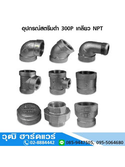 อุปกรณ์สตีมดำ 300P เกลียว NPT