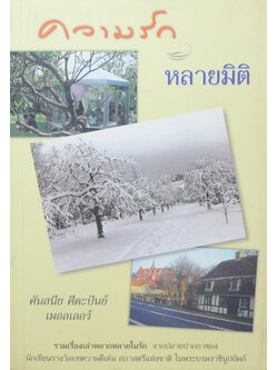 ความรักหลายมิติ