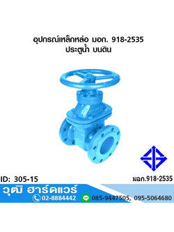 อุปกรณ์เหล็กหล่อ มอก. ประตูน้ำ บนดิน