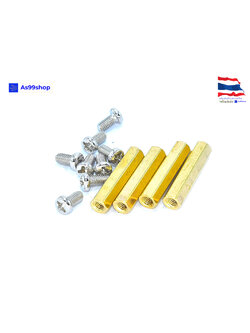 M3*22 double-pass hexagonal Copper column( 1 ชุด 4 ตัว )+น๊อตหัวกลม 8 ตัว