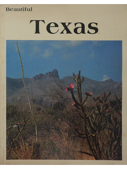 Beautiful Texas
