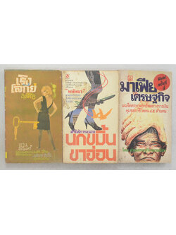 รวมเรื่อง (3 เล่ม / เล่มเล็ก)