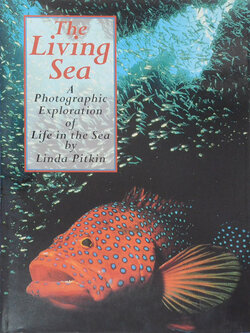 The Living Sea A Photographic Exploration of Life in the Sea