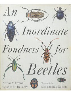 An Inordinate Fondness for Beetles