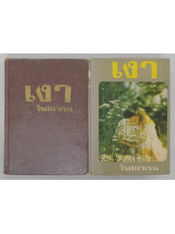 เงา (2 เล่มจบ)