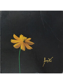 นางบุญชื้น เตชะกัมพุช (ปิโตเลียมในประเทศไทย)