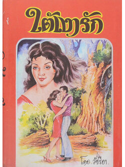 ใต้เงารัก (เล่มเดียวจบ)