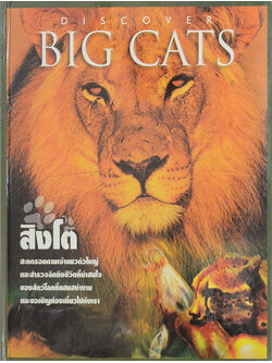 สำรวจโลกของสิงโต