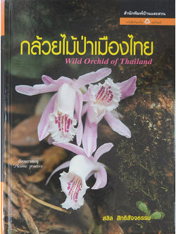 กล้วยไม้ป่าเมืองไทย