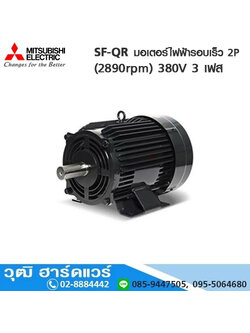 MITSUBISHI SF-QR มอเตอร์ไฟฟ้ารอบเร็ว 2P (2890rpm) 380V 3 เฟส