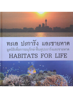 ทะเล ปะการัง และชายหาด