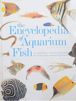 the Encyclopedia of Aquarium Fish