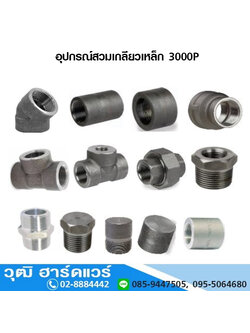 อุปกรณ์สวมเกลียวเหล็ก 3000P