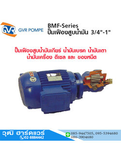 GVR BMF-Series ปั๊มเฟืองสูบน้ำมัน 3/4"-1"