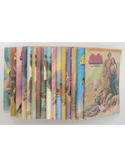 ร้อยป่า (เล่ม 1-16 / ไม่จบ / ขายตามสภาพ)