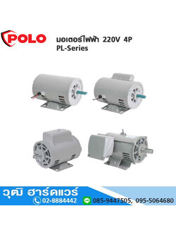 POLO PL-Series มอเตอร์ไฟฟ้า 220V 1/4HP-3HP