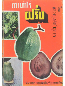 การทำไร่ฝรั่ง (ขายตามสภาพ)