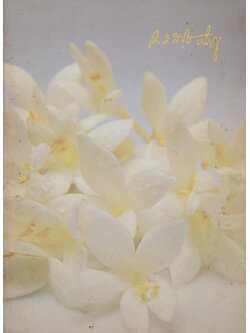 พระราชบัณฑิต (ธรรมโวหาร ธมฺมสาโร ภิกฺขุ)