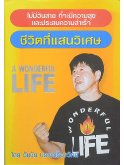 ชีวิตที่แสนวิเศษ A Wonderful Life