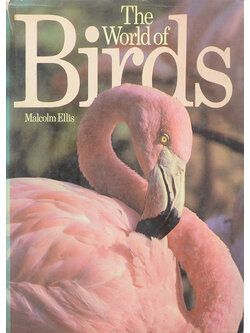 The World of Birds
