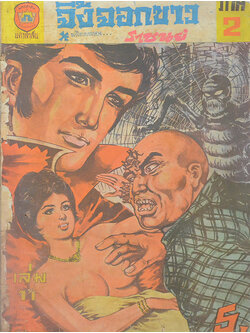 จิ้งจอกขาว ภาค 2 เล่ม 11 (ขายตามสภาพ)