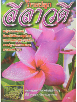 การปลูกลีลาวดี