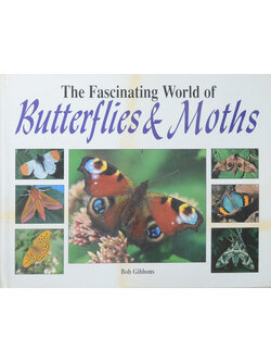 The Fascinating World of Butterflies & Moths
