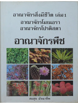 อาณาจักรสิ่งมีชีวิต เล่ม 1 อาณาจักรพืช