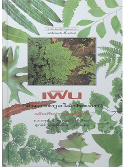 เฟิน: ต้นตระกูลไม้ประดับ (ขายตามสภาพ)