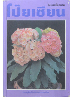 โป๊ยเซียน (ขายตามสภาพ)