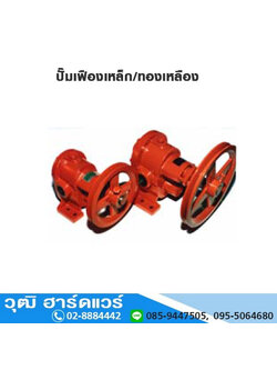 ปั๊มเฟืองเหล็ก ปั๊มเฟืองทองเหลือง 1/2"-1" (ไม่รวมมอเตอร์)