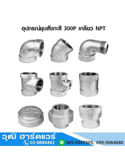 อุปกรณ์ชุบสังกะสี 300P เกลียว NPT