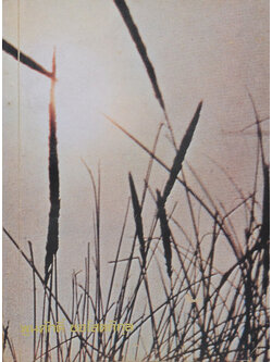 รักลูกให้ถูกทาง