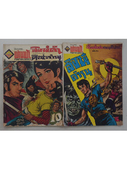 สิงห์ดำ (2 เล่มจบ/ขายตามสภาพ)