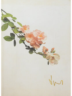 นายชำนาญ เพ็ญชาติ (ชีวประวัติ-ผลงาน)