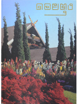 ดอยตุง (ขายตามสภาพ)