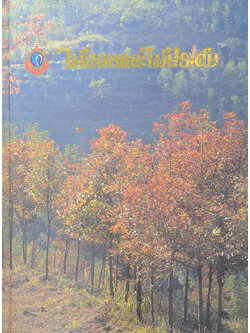 ไม้ดอกและไม้ประดับ (ขายตามสภาพ)