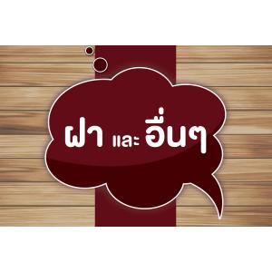 ฝาและส่วนประกอบอื่นๆ