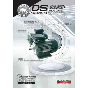 มอเตอร์ไฟฟ้า BULL POWER DSS BSA Series