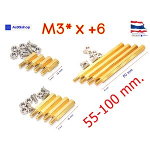 คอลัมน์ M3 *x+6 ( 55-100 mm. ) คอลัมน์ทองแดง หกเหลี่ยม แบบกลวง ( 1 ชุด 4 ตัว )+น๊อต 8 ตัว