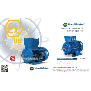 Marellimotori มอเตอร์เมอร์รารี่ มอเตอร์,มอเตอร์ Marelli มอเตอร์กันระเบิด