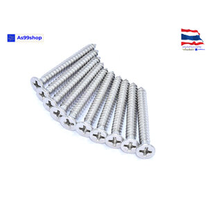 M4*35 สกรูเกลียวปล่อย สแตนเลสหัวตัด (1 ชุด 10 ตัว)