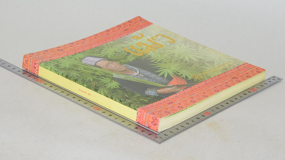 ชาวเขาเผ่า แม้ว