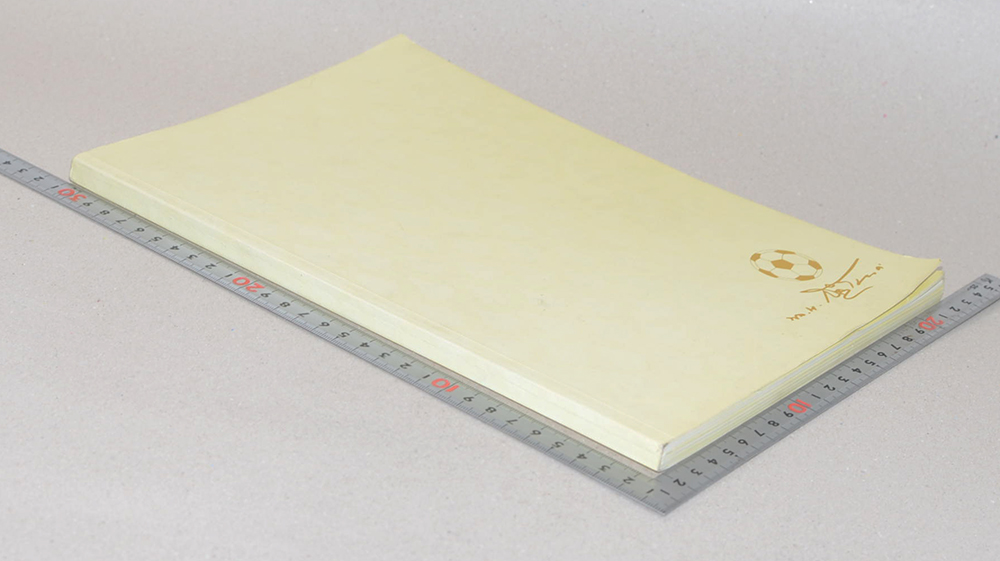 พลตรีสำเริง ไชยยงค์ (ชีวประวัติ)