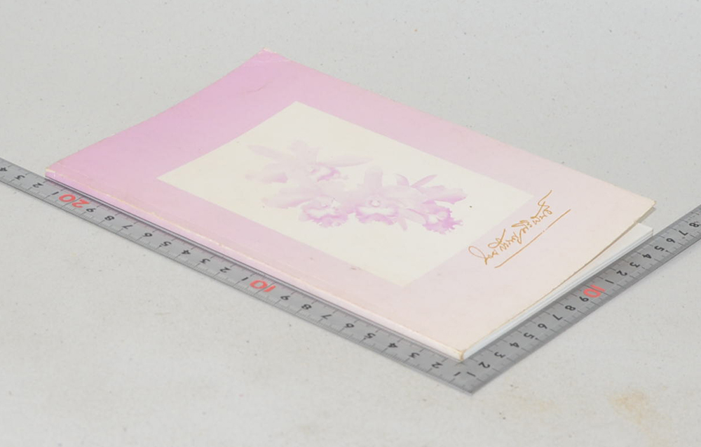 นายสำราญ ศิริพันธ์ (เรื่องเมืองเชียงตุง)