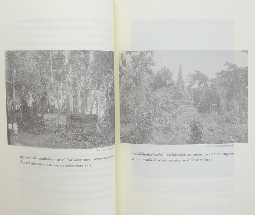 สังคมไทยลุ่มน้ำเจ้าพระยาก่อนสมัยศรีอยุธยา