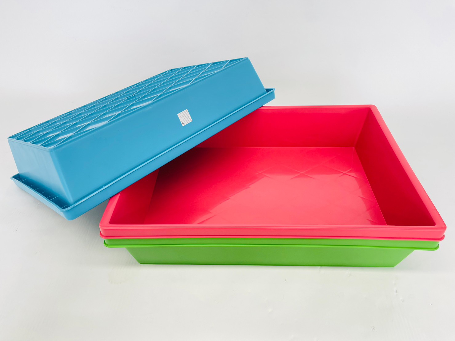 ชมพู ฟ้า เขียว